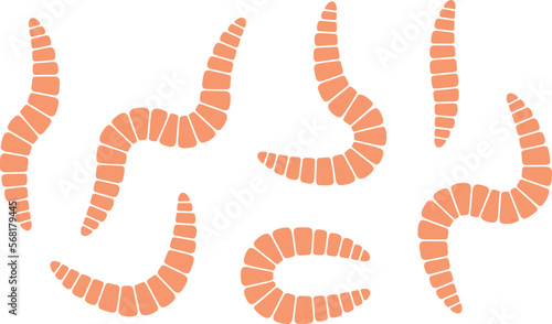 Worm logo. Isolated worm on white background