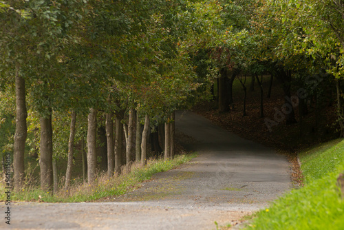 Lonely mountain track in the autumn time
