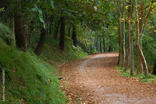 Lonely mountain track in the autumn time