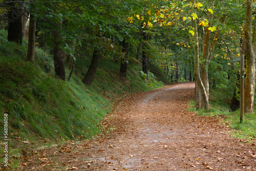 Lonely mountain track in the autumn time