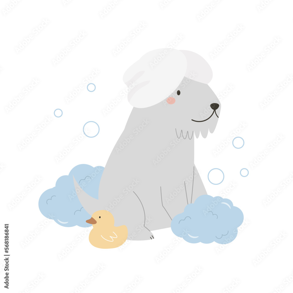 Cute terrier dog with a towel on a head, foam, bubbles and rubber duck. Vector illustration of a funny washing pet Cute terrier dog with a towel on a head, foam, bubbles and rubber duck. Vector illustration of a funny washing pet