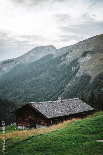 Wooden hut in the alps with mountains in the background Panorama
