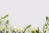 Spring holiday mockup. Natural white freesia flowers and green leaves on light grey background. Blooming season eco concept. Minimal frame composition layout. Top view, copy space, flat lay.