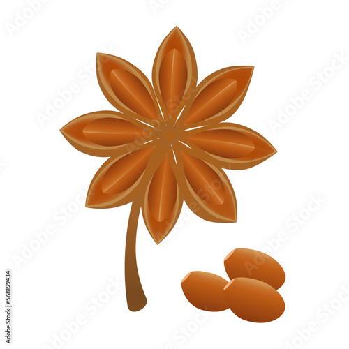 Star anise fruits with seeds on a white background.