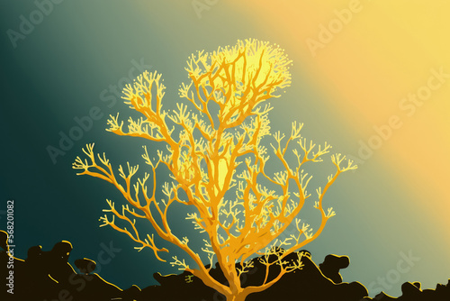 Fotografia Golden sea moss from St. Lucia, Euchema cottoni. Generative AI