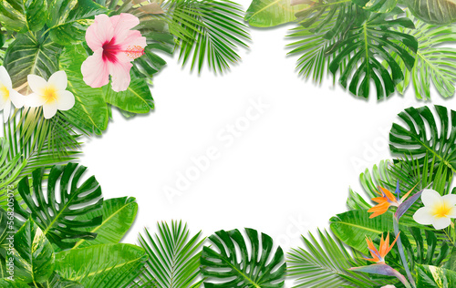 tropical leaves  and flower sisolated, png file photo