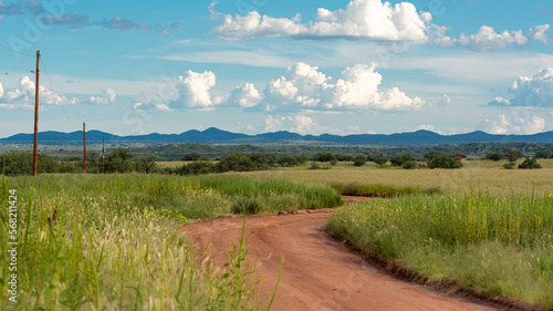 Long road through grass