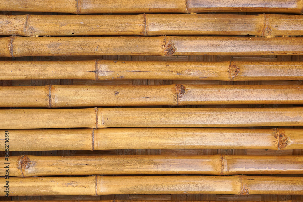 Bamboo walkway in the garden