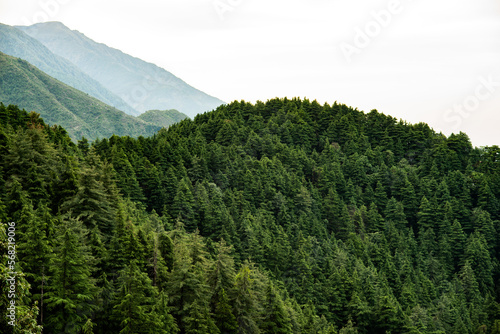 outdoor nature landscape forest and mountains