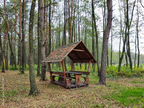 wooden gazebo picnic in the pine forest