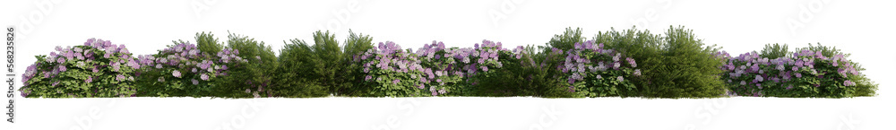 Obraz premium line bushes and flowers isolated on transparent background PNG's. 
