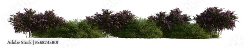 line bushes and flowers isolated on transparent  background PNG's. 