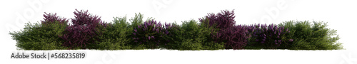 line bushes and flowers isolated on transparent background PNG's. 