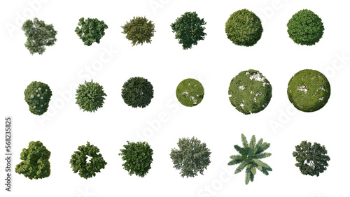 Collection of plan 2D view bushes Isolated on PNGs transparent background  Use for visualization in graphic design  