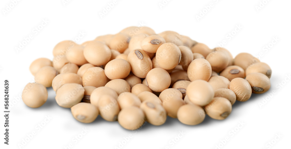 Spice collection. A small bunch of beans Spice collection. A small bunch of beans