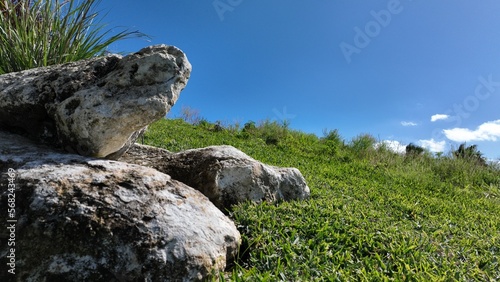 Rock formation looks like a face of turtle or whale on hill on green grass.