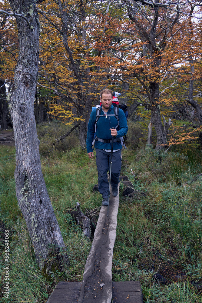 Naklejka premium white man crossing wooden bridge in the forest