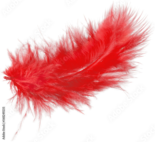 Red Feather, Isolated