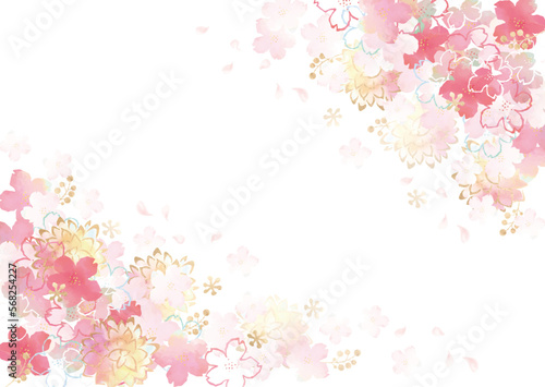 桜　花びら　水彩　菊　和柄　背景　ベクター