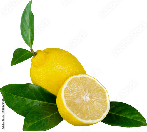 Wallpaper Mural Fresh Lemons withe Leaves - Isolated Torontodigital.ca