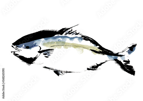 鰤の手描き和風イラスト
