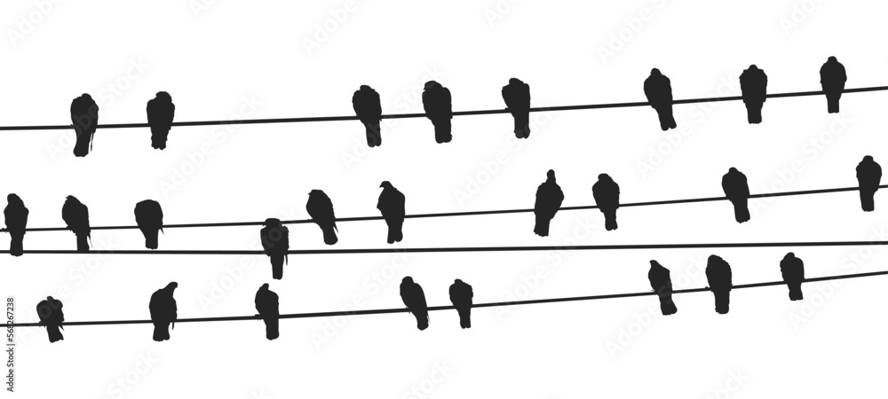 Naklejka premium vector birds on wire