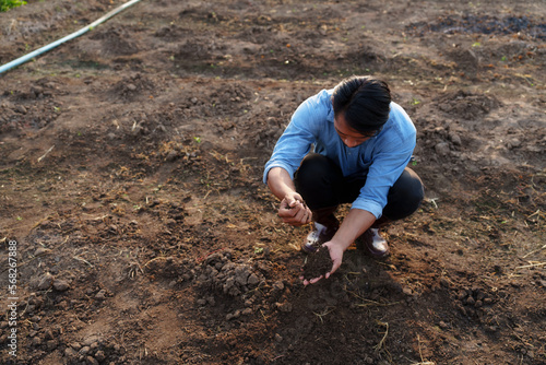 Asian farmers check soil quality in fields before tillage. Prepare the soil for planting and fertilizing. to increase productivity Agriculture concept