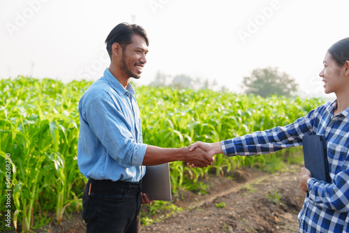 Shaking hands Asian farmer works and monitors the growth of corn plants in a corn field to prepare fertilizers to increase the yield of healthy, healthy corn, well-weighted maize.