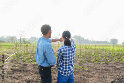 Asian couple farmer husband and wife works and monitors the growth of corn plants in a corn field to prepare fertilizers to increase the yield of healthy, healthy corn, well-weighted maize.