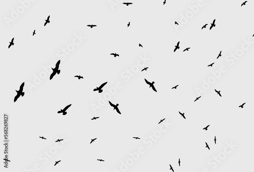 Black vector flying birds flock silhouettes isolated on white background © Borhan