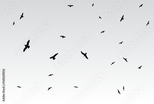 Black vector flying birds flock silhouettes isolated on white background