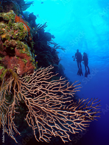A Woman and Her Teenage Daughter Scuba Dive with Black Coral Along the Bloody Bay Wall of Little Cayman