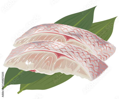 鯛切身