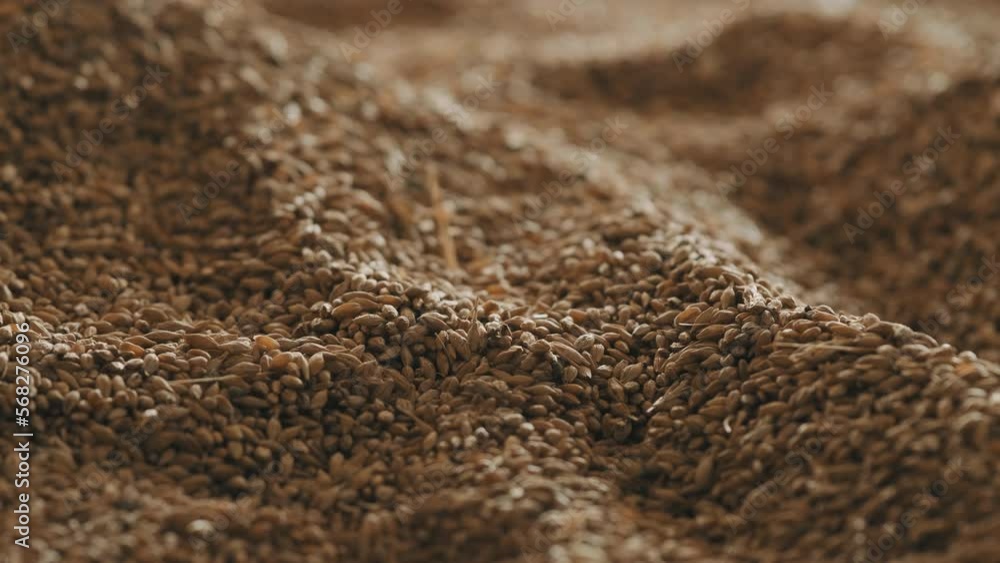 Harvested grain Background Slow motion Harvested grain Background Slow motion