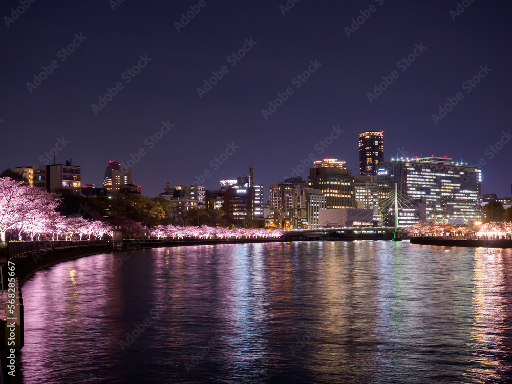 毛馬桜宮の桜並木夜景