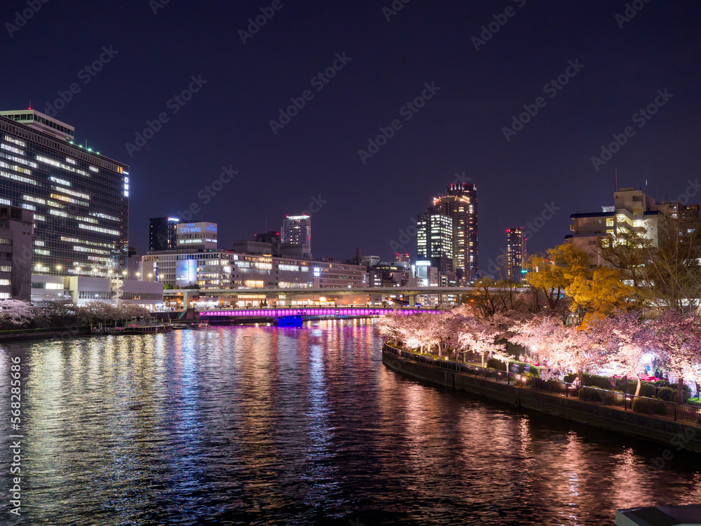 Obraz premium 天満橋からの夜桜