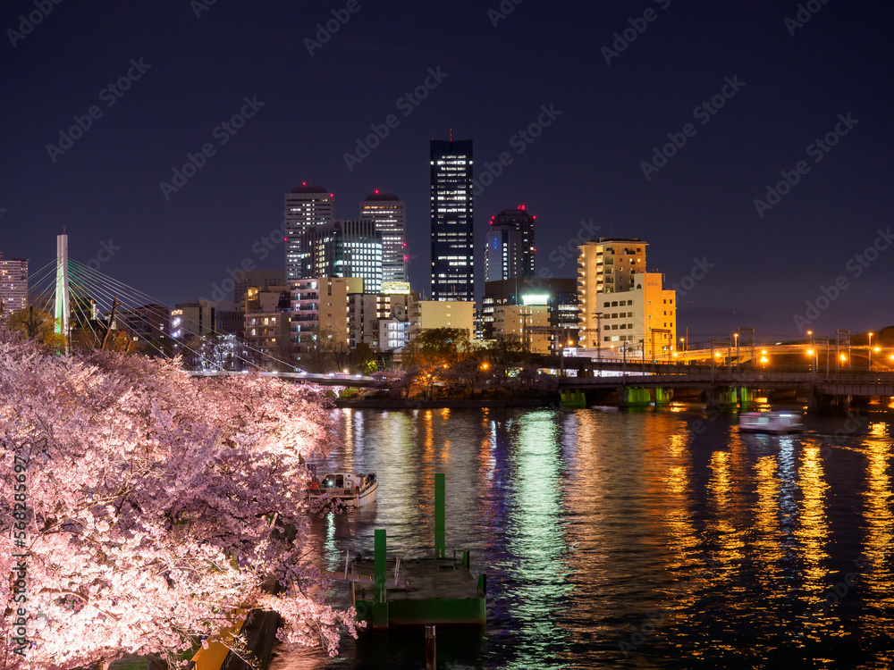 Naklejka premium 天満橋からの夜桜