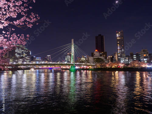 Wallpaper Mural 毛馬桜宮の桜並木夜景 Torontodigital.ca