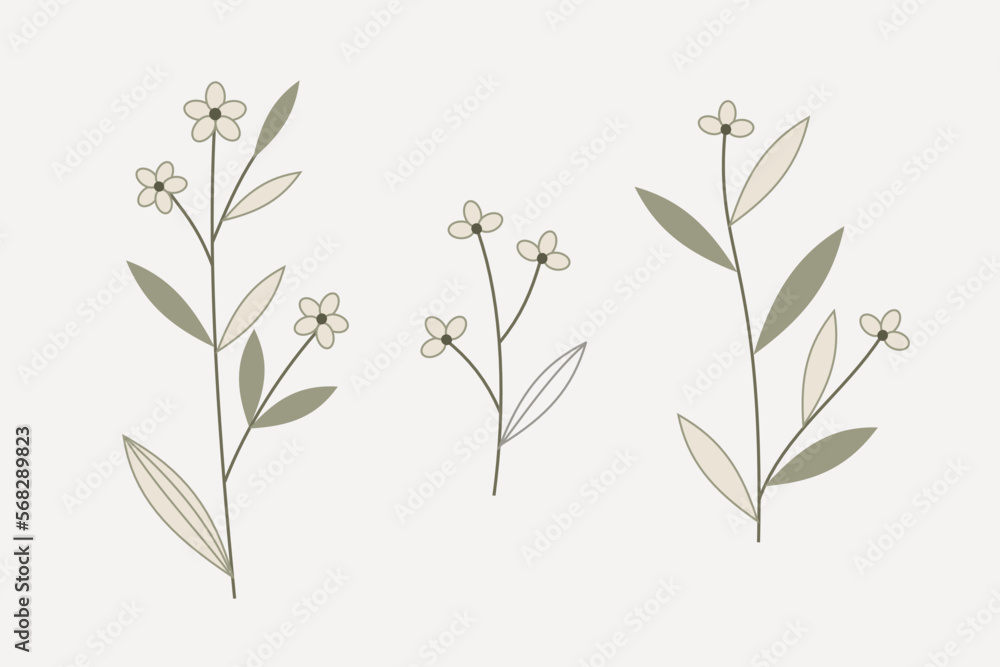 Fototapeta premium Set of minimalist flower element in pastel