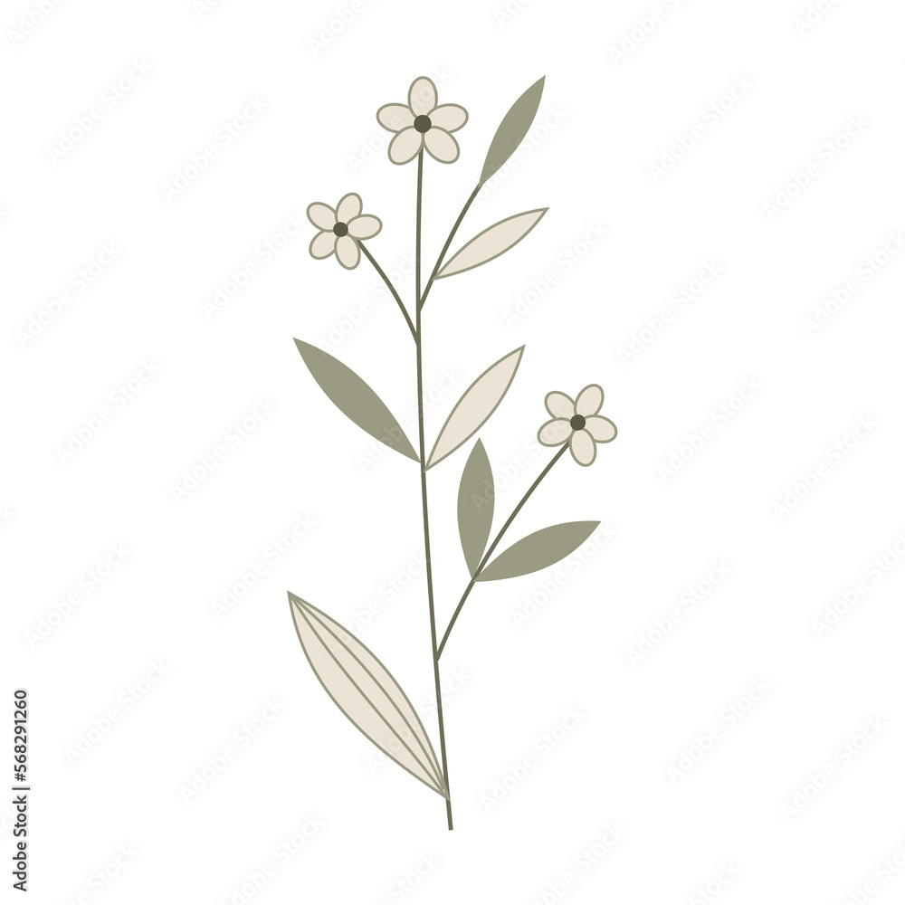 Obraz premium beautiful simple flower