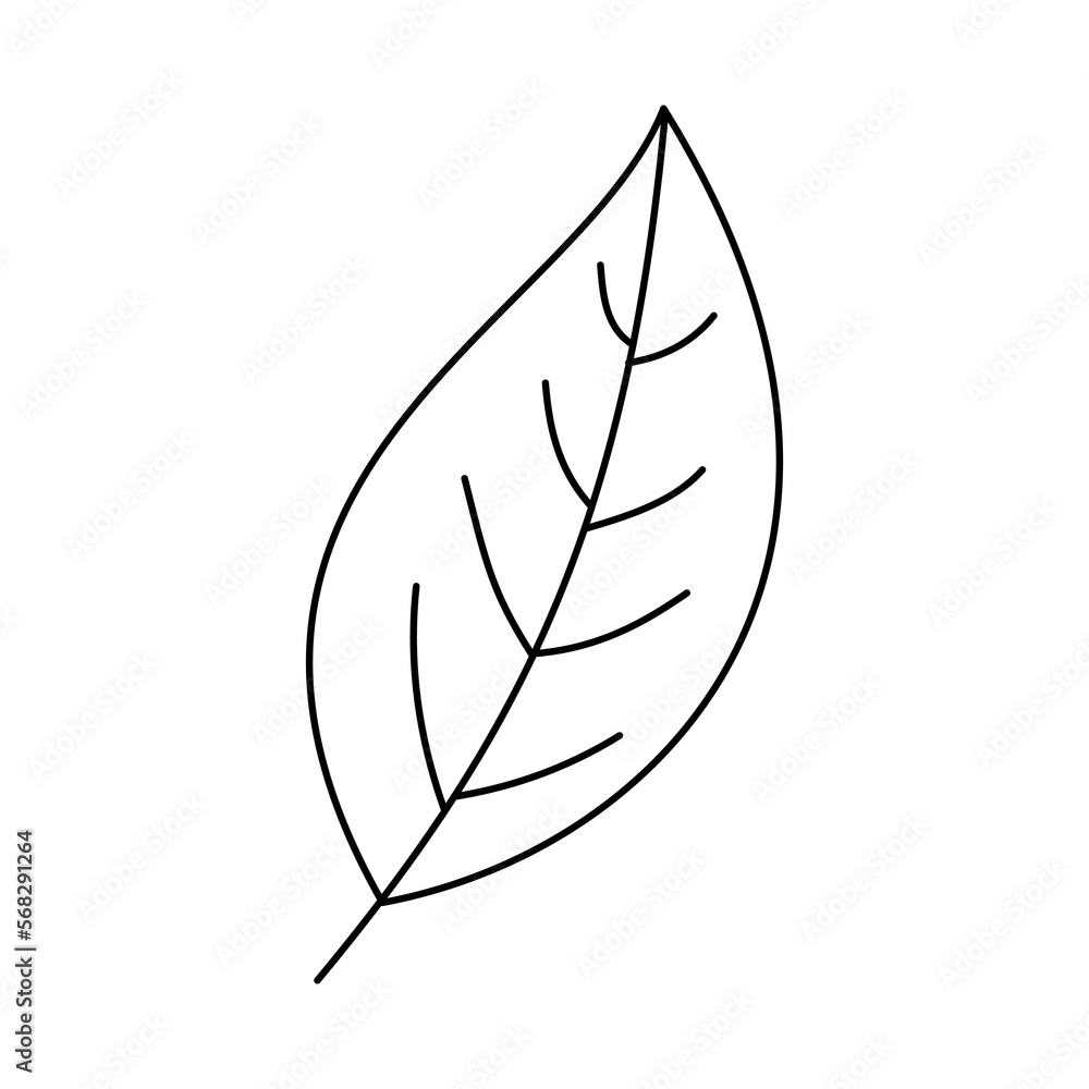 simple leaf line art