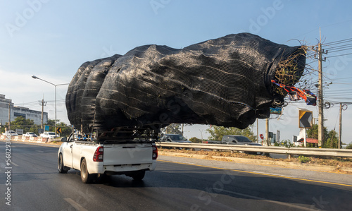 A pickup truck is driving on the highway with an excessive load - a wrapped tree, Thailand