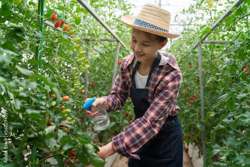 View of a Young woman watering tomatoes on farm - Nature and ecology theme