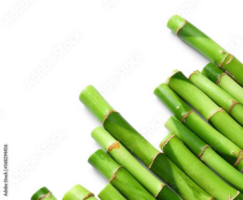 Green bamboo stems on white background  closeup