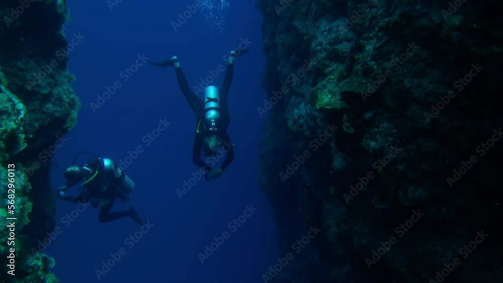 Group of divers underwater on reefs in French Polynesia. Amazing spectacle of wildlife in blue lagoon of sea life of Pacific Ocean. Concept of large flow of fish and underwater sea life. Scuba diving. Group of divers underwater on reefs in French Polynesia. Amazing spectacle of wildlife in blue lagoon of sea life of Pacific Ocean. Concept of large flow of fish and underwater sea life. Scuba diving.