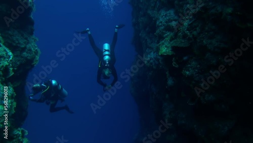Wallpaper Mural Group of divers underwater on reefs in French Polynesia. Amazing spectacle of wildlife in blue lagoon of sea life of Pacific Ocean. Concept of large flow of fish and underwater sea life. Scuba diving. Torontodigital.ca
