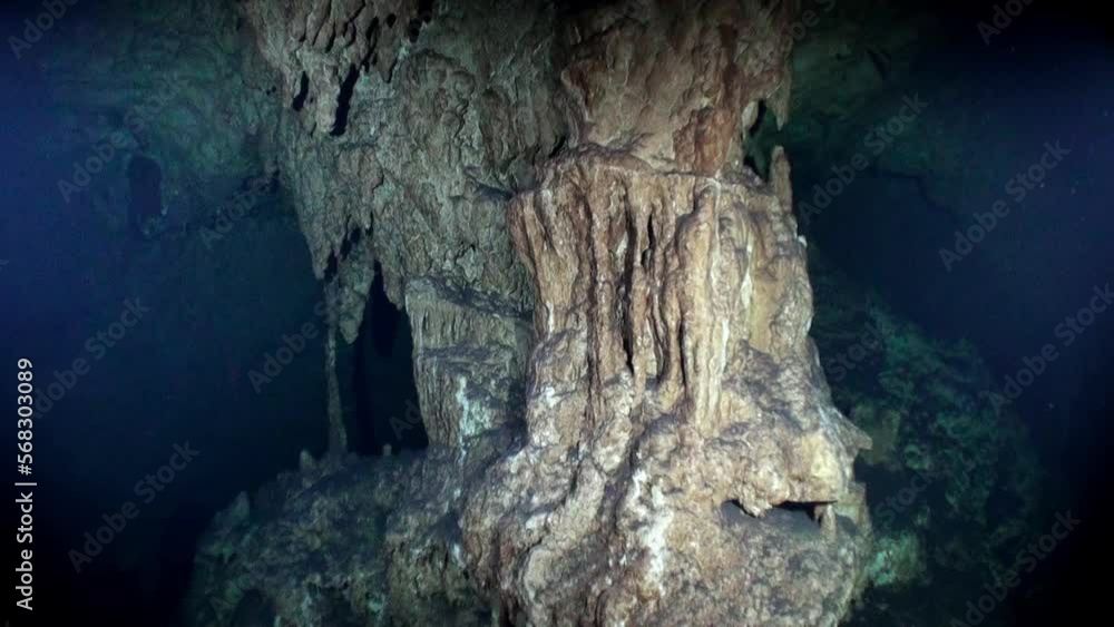 View from under clear water to trees and tree roots and ray of suns in cave of underwater Yucatan Mexico cenotes. Cave diving. Unique beautiful video footage of wildlife in underwater world. View from under clear water to trees and tree roots and ray of suns in cave of underwater Yucatan Mexico cenotes. Cave diving. Unique beautiful video footage of wildlife in underwater world.