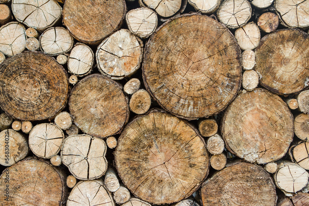 Round wood logs section background. Round wood logs section background.