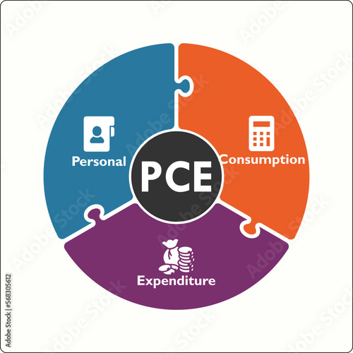 PCE - Personal Consumption Expenditure Acronym. Infographic template with icons and description placeholder