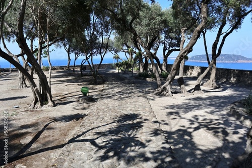 Ischia - Terrazza degli Ulivi al Castello Aragonese